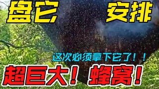 一人大的蜂窝已安排，咱们今天盘了它，绝对蜂蜜