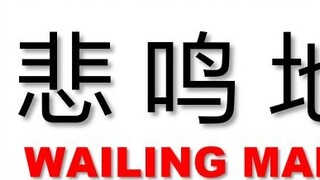 Qin Liu Navigation