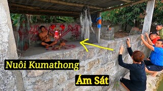 Nuôi Kumathong Cho Uống Máu Chó Luyện Bùa Ngải | Video Troll