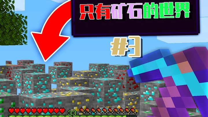 When Only Minerals Are Left in Minecraft and All Blocks Disappear! Heading to the Woodland Mansion, 