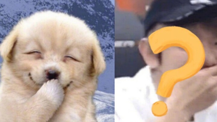 ไอดอลชายเกาหลีใต้ที่หน้าตาเหมือนสุนัขที่สุด!! ลงทุนแล้วไม่เสียใจ ไม่โดนหลอกแน่นอน!!