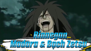 Madara Đeo Con Mắt Hồi Sinh Do Bạch Zetsu Mang Đến Và Cười Điên Rồ | Naruto