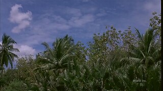 Chơi Ngãi 2 (Art Of Devil)