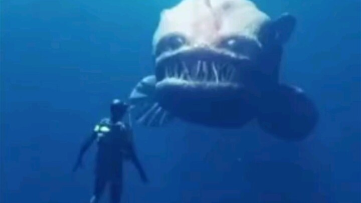 [⚠️Caution] Deep Sea Monster Horror Film
