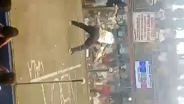 white wins