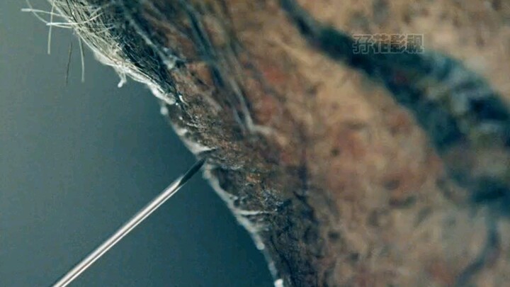 Trò chơi sinh tồn: Cuộc chiến sinh học