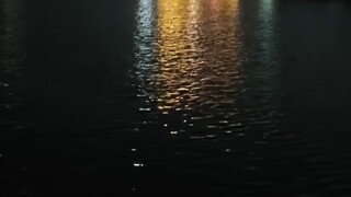 夜景
