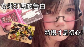 玩具分享变身和对特摄的认识~