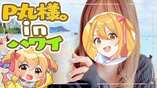 【P丸日常】真人出镜！去夏威夷爽玩了啊啊啊啊啊——！