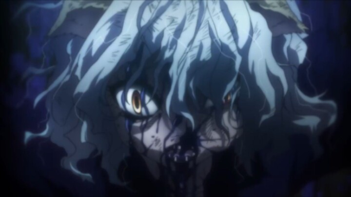 Pitou vs gon, pitou jd bonyok njir