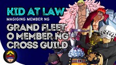 Kid at Law new member ng Grand Fleet o Cross Guild | Theory