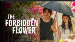 FORBIDDEN FLOWER N TAGALOG DUB) on JUNE 14