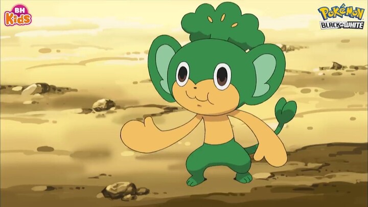 Pokémon Tiếng Việt Tập 9 [S14 B&W]- Kibago, Cơn Thịnh Nộ Của Rồng - Phim Hoạt Hì