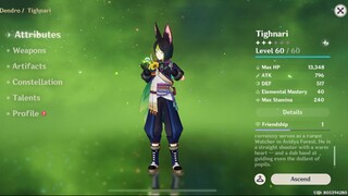 Genshin Impact Indonesia - Pembahasan Tighnari Dendro Five Star mengenai Artifact dan Skill+Gameplay