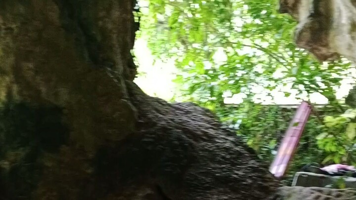 pemakaman dalam  "TORAJA"