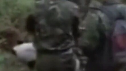 起猛了，看见熊猫和面，再睡会儿