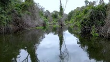 Menyusuri sungai yang indah