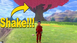 Pokémon Sword: Crown Tundra - Shaking the Giant Tree