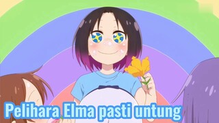 Pelihara Elma pasti untung