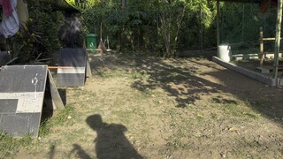 Dom vs kanawayon