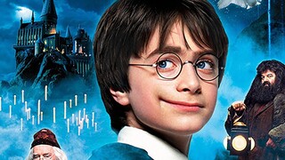 Funny Dubbing of Harry Potter: The Heroic Husband