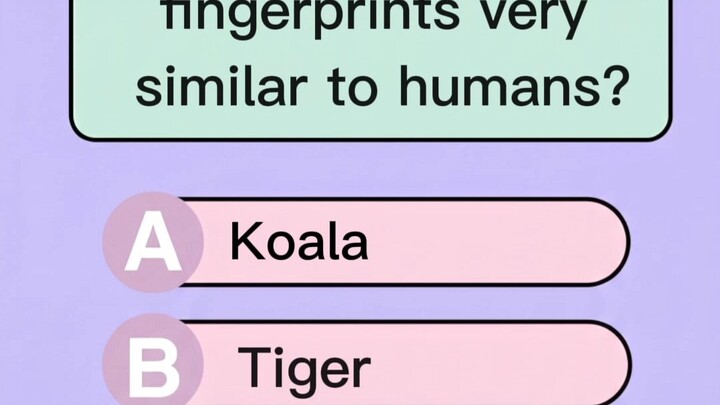 Human vs Animals