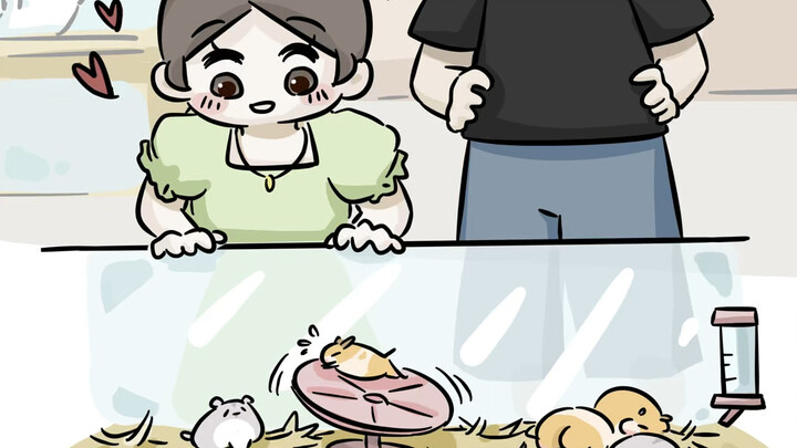 Kehidupan Sehari-hari Pasangan｜Memelihara Hamster (Bagian 1)
