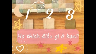 HỌ THÍCH ĐIỀU GÌ Ở BẠN? - Chọn  1 tụ bài Tarot