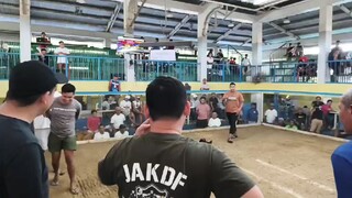 2hits ulutan single fight win