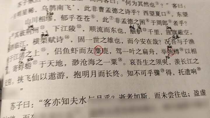 [พากย์] อ่านจิบิฟู่ด้วยเสียงหูเต๋า