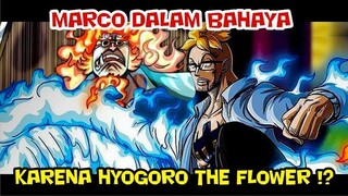 MARCO DALAM BAHAYA KARENA HYOGORO THE FLOWER DAN DUA HAL LAINNYA !!?