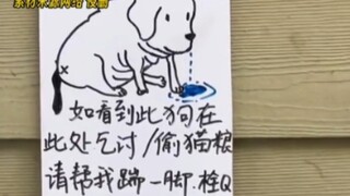 หมาๆ: นี่มันเกิดอะไรขึ้นกันแน่!