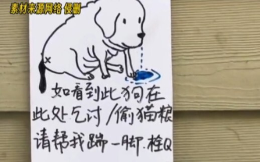 غوزي: ماذا يحدث هنا بالفعل!