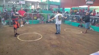 3 Sisters GF Random Fights