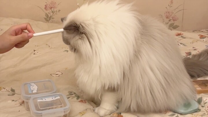 Who are you trying to fool with that innocent act?