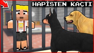 EFEKAN HAPSE GİRDİ, KÖPEK ÇETESİ HAPİSTEN KAÇIRDI! 😱 - Minecraft