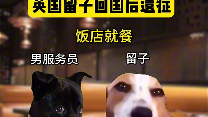 总是让人猝不及防！belike