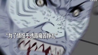 干柿鬼鲛能让迈特凯记住一辈子的男人