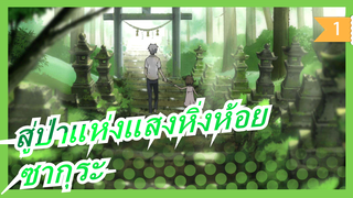 [สู่ป่าแห่งแสงหิ่งห้อย]ซากุระ_1