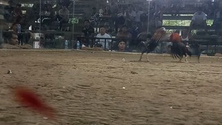 hndi tyo pinalad dito npilayan Yong sa akin alaga buti nlang nka dow pa