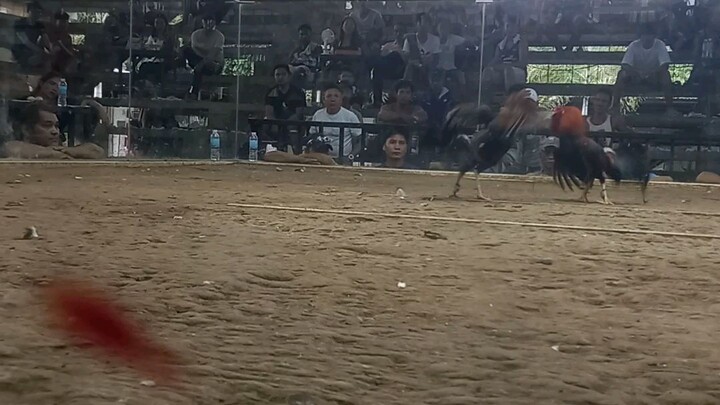 hndi tyo pinalad dito npilayan Yong sa akin alaga buti nlang nka dow pa