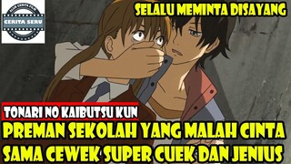 ALUR CERITA PREMAN SEKOLAH YANG MALAH CINTA SAMA CEWEK YANG SUPER CUEK DAN JENIUS