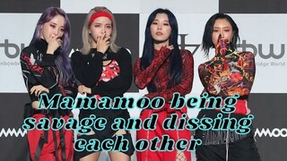 Mamamoo being savage and dissing each other