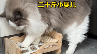 I'm really afraid it'll collapse the cotton doll's bed.