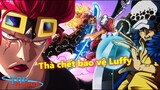 Sự thật đằng sau ý chí bất khuất của Kid và Law, thà chết bảo vệ Luffy khỏi BigMom