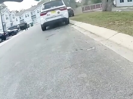 Car-thief bro: Wait, I haven’t even confessed anything yet! #Florida #Outrageous #NeverExpectedThis 