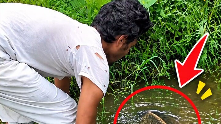 What Kind of Fish Is This?! 😱🐟 | Wild Fishing Adventure