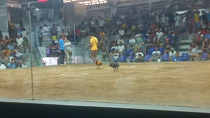 mananalo kalaban first win nya🔥