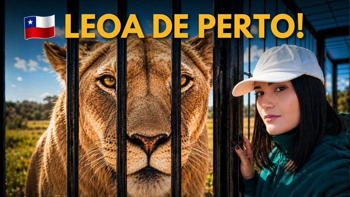SOBREVIVEMOS AO SAFARI NO CHILE! (Dicas para ir sem agência)