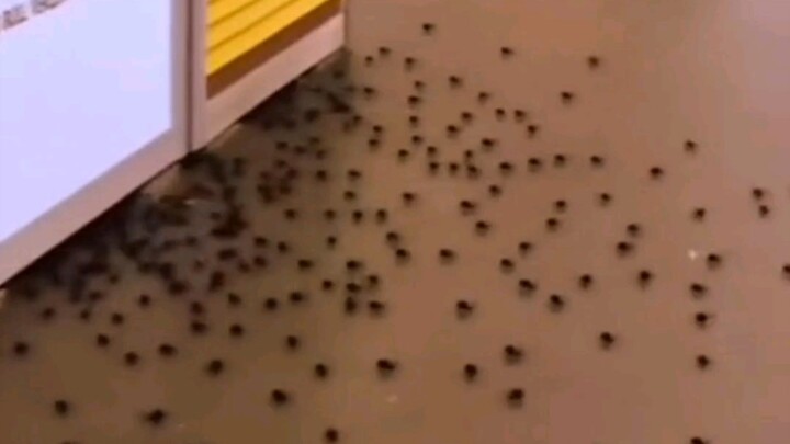 Just a gentle poke and there's already so much.